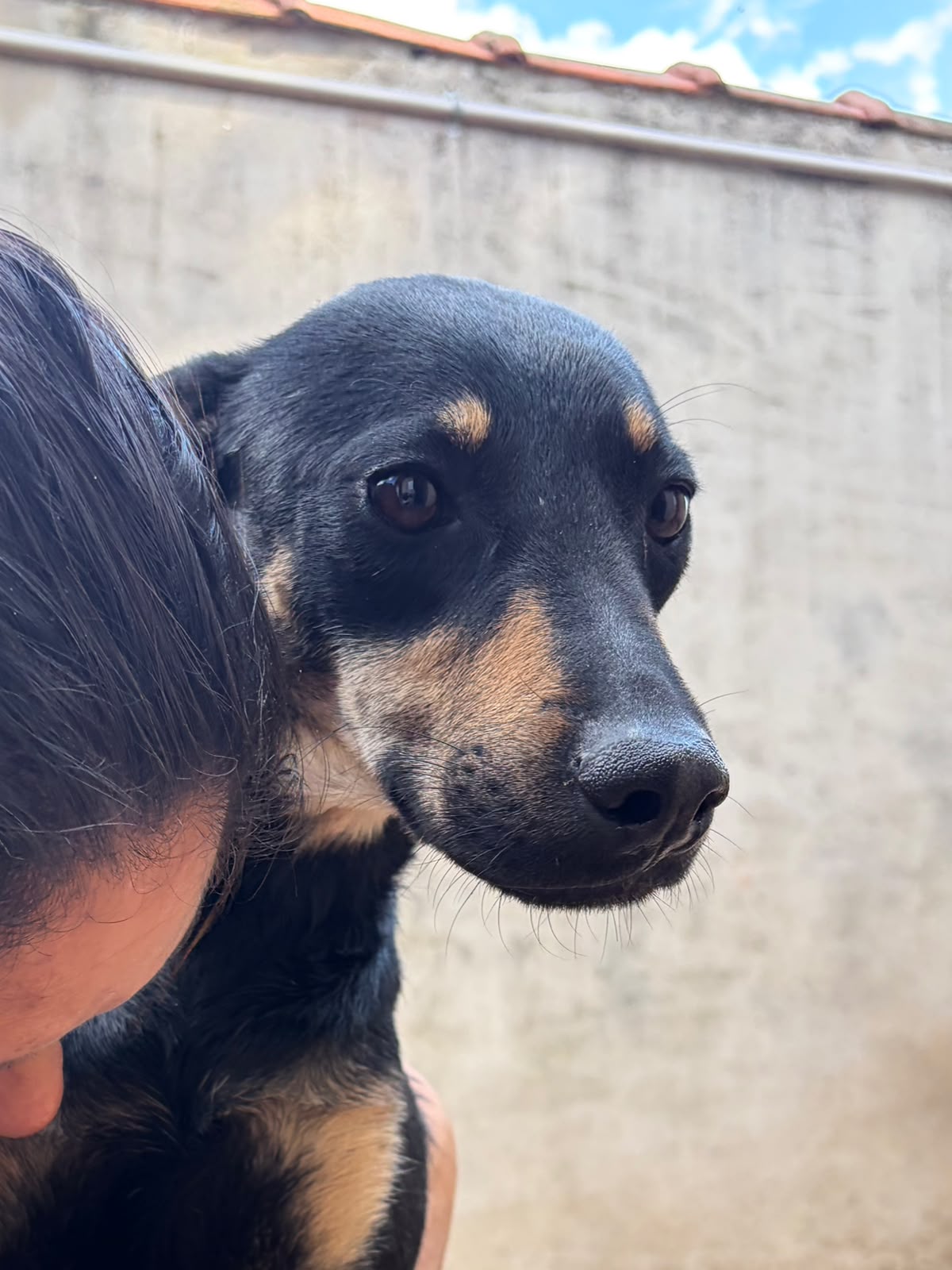 Cinderela